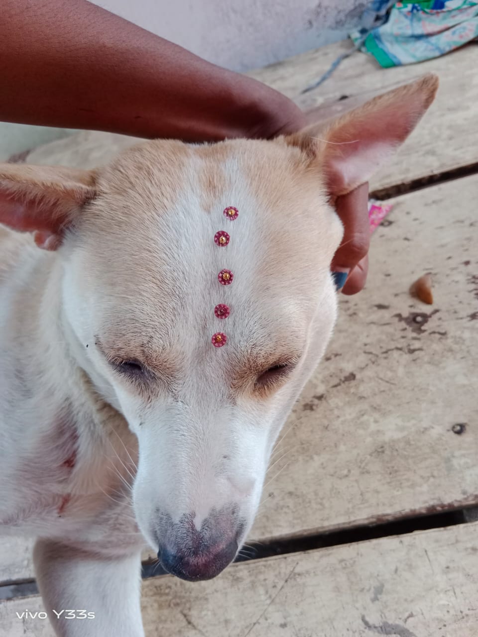 छात्रों के लिए शुरू हुई राष्ट्रीय कोडिंग प्रतियोगिता